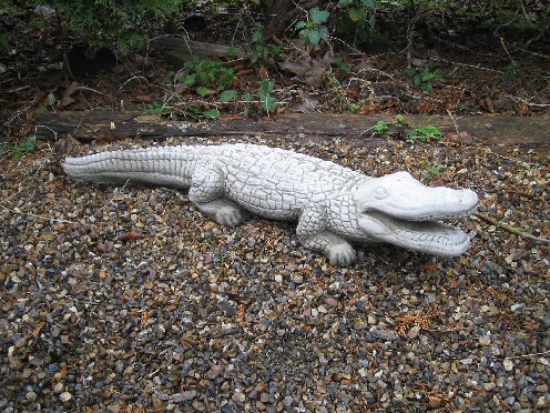 KA28 Crocodile
